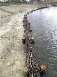 ФАШИНА (у берега)