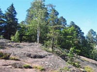 ФЕННОСКАНДИЯ (каменные гряды в Монрепо)