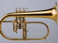 ФЛЮГЕЛЬГОРН (фотография)