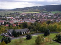 ФРИДРИХРОДА (вид)