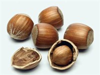 ФУНДУК (орехи)