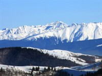 ФЭГЭРАШ (вид)