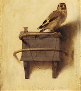 Фабрициус Карел (Щегол)