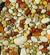 Фасоль (семена фасоли разных сортов)