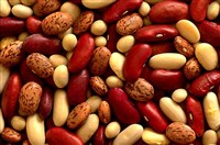 Фасоль [кулинария]