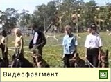 Федерация кинологического спорта (видео)