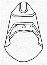Фелонь и саккос (символ)