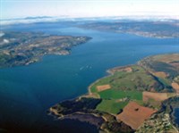 Ферт-ОФ-Клайд (вид)