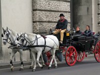 Фиакр (в Вене)