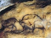 Фон-де-Гом (наскальный рисунок)