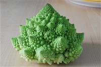 Фракталы (цветная капуста)