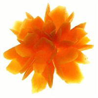 Фрезии из моркови