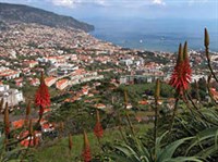 Фуншал (панорама)