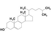 ХОЛЕСТЕРИН
