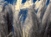 ХРИЗОТИЛ-АСБЕСТ