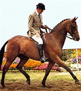 Хак (парковый)