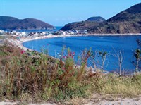 Халле (остров Коджедо)