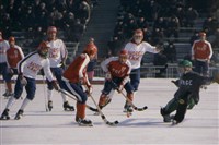 Хоккей с мячом (игровой момент)