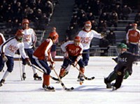 Хоккей с мячом [спорт]