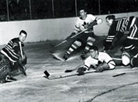 Хортон Тим [спорт]