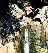 Хоста (река Агура)