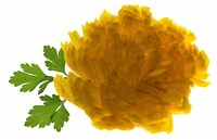 Хризантемы из брюквы