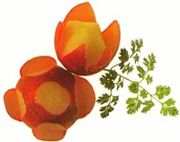 Цветы из редиса