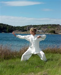 Цигун (школы)