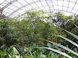 Цюрихский зоопарк (тропический лес)