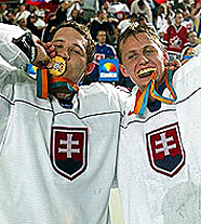 ЧЕМПИОНАТ МИРА ПО ХОККЕЮ (2002) [спорт]