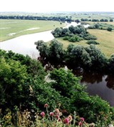 Черниговская область (Десна)