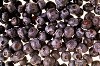 Черника консервированная