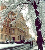 Черновцы (дом со львами)