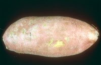 Чипсы бататовые (1)