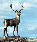 Чита (символ города — олень)