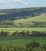 Шампань (сельские виды)