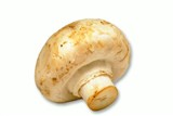 Шампиньон (2)