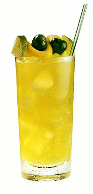 Шейди-лейди