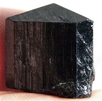 Шерл (пакистанский)