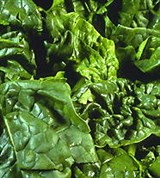 Шпинат (листья)