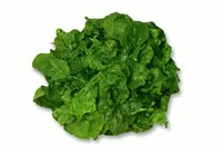 Шпинат [кулинария]