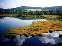 Шумава (общий вид)