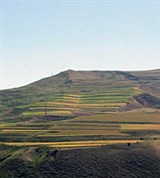 Шэньси (рисовое поле)