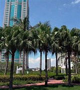 Шэньчжэнь (небоскреб)