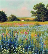 Щербаков Борис Валентинович (Разнотравье донское)