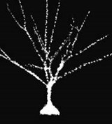 Электрический разряд в газах (3)