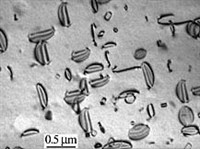 Электронная микроскопия (дефекты)