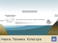 Эль-Ниньо (схема образования)