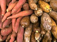 ЯМС (клубни)