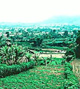 Ява (ландшафт острова)